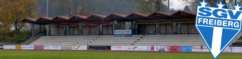 Wasenstadion